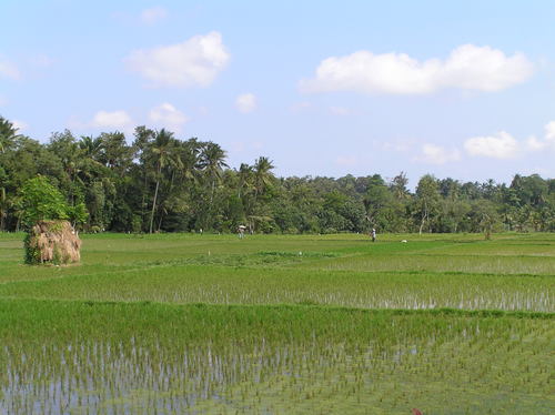 2005_indonesiatrip_237_2